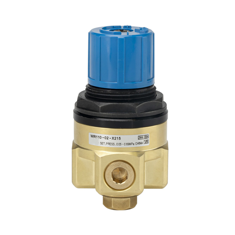Regulator de apă WR110